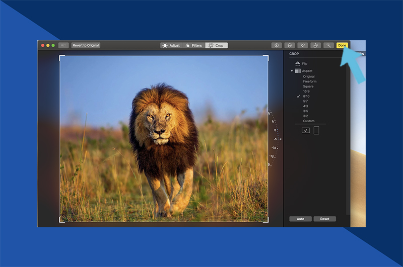 resize an image for passport on mac